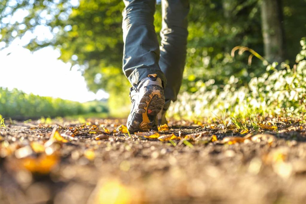 A photo of walking-shoe clad feet walking down an autumn path.