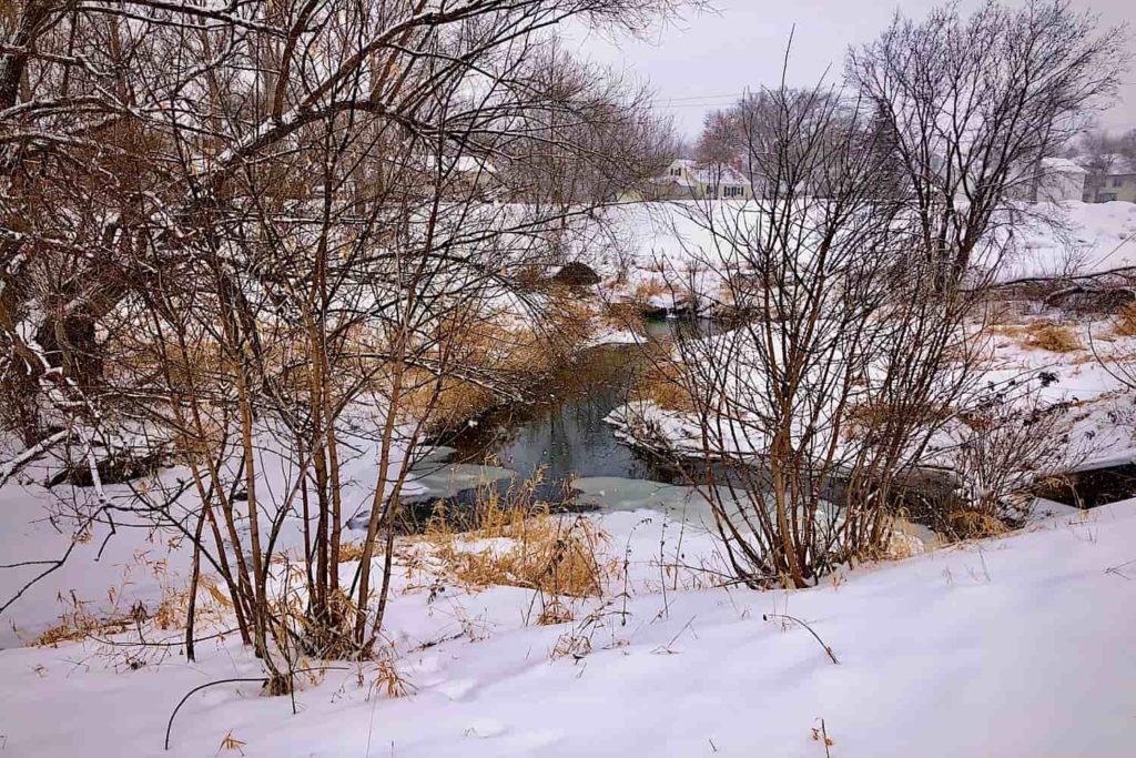 A winter scene of a creek running through a snowy landscape.