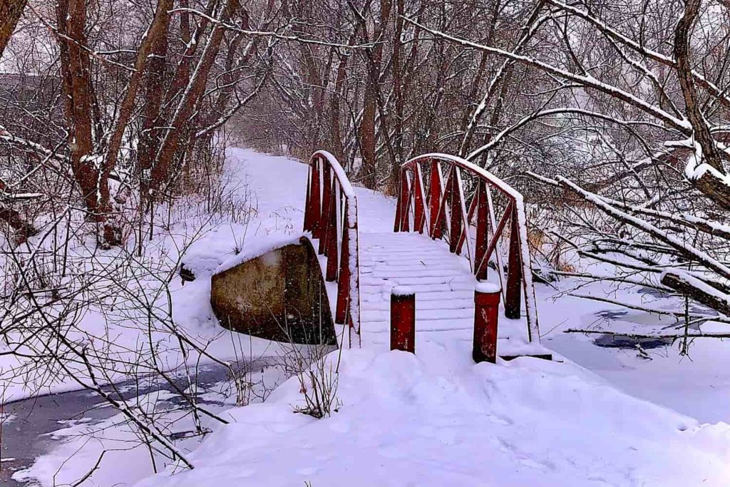A photo of a footbridge over a small creek.
