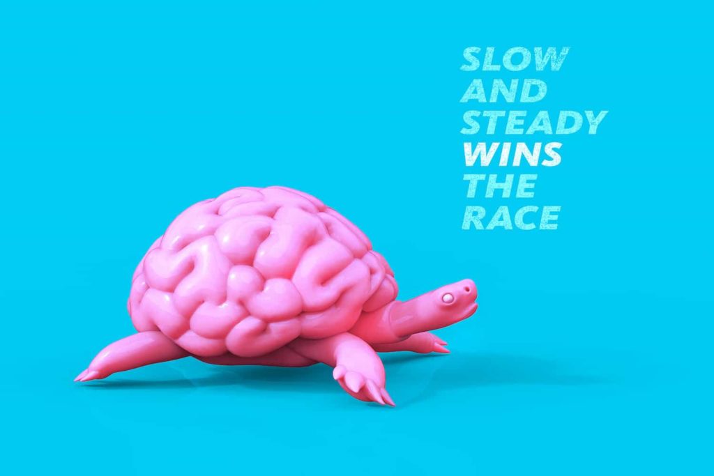 An image of a turtle with a brain for a shell next to the quote ‘slow and steady wins the race.’