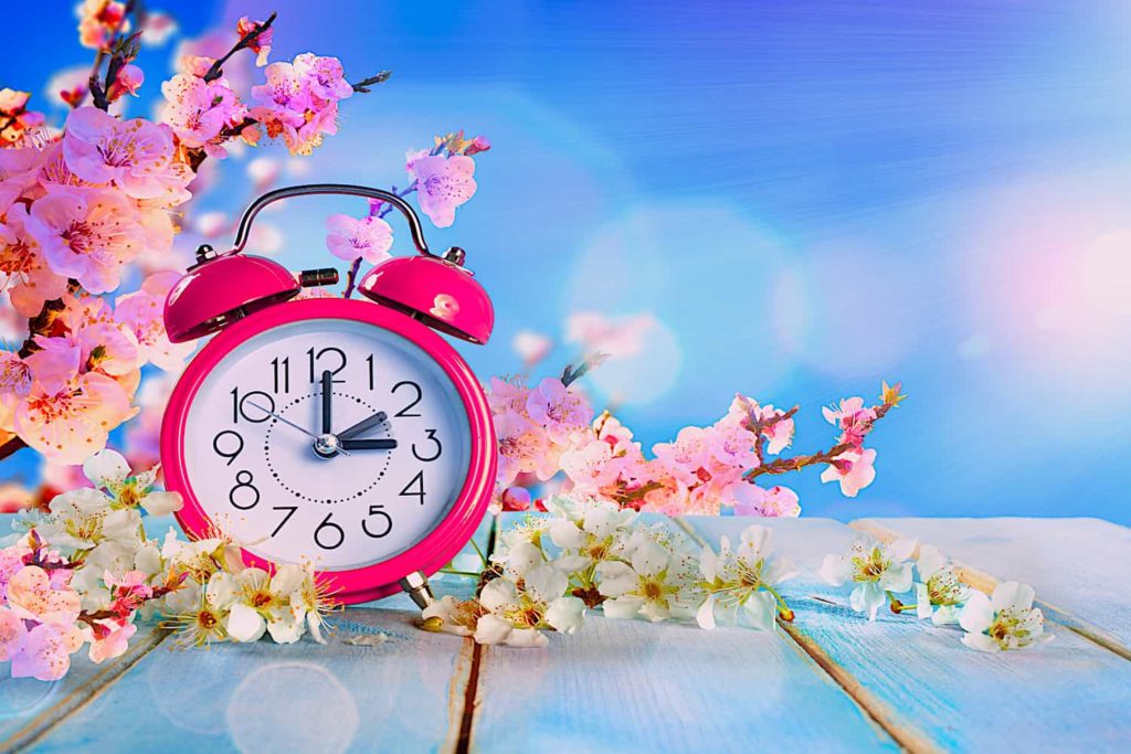 A pink alarm clock nestled among pink and white spring flowers.